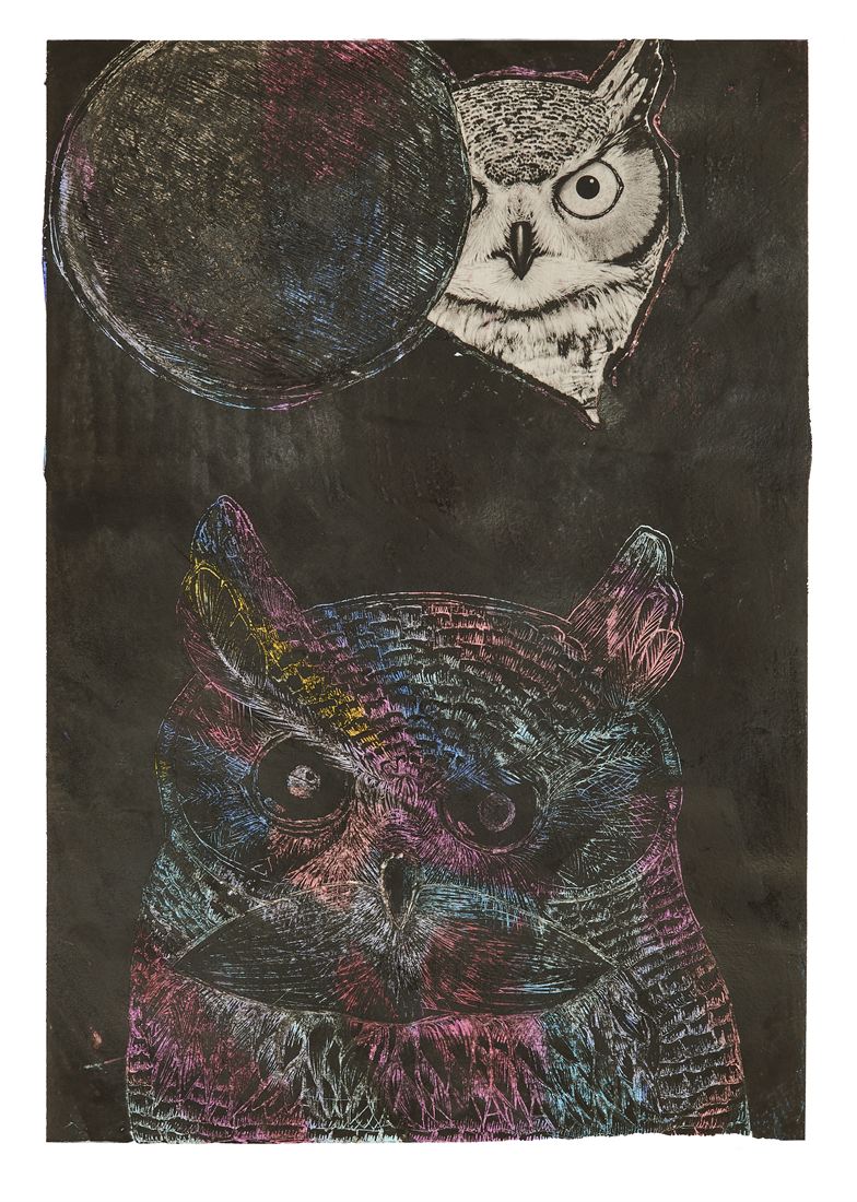 Two owls rendered in iridescent scratchwork on a black ground, by Federica Cavenati